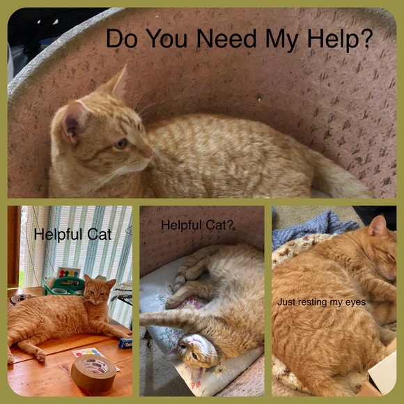 Vintage Western Shirt Ladies Small Crop Style Cutout Southwest Design Monarch - Picture 7 of 7